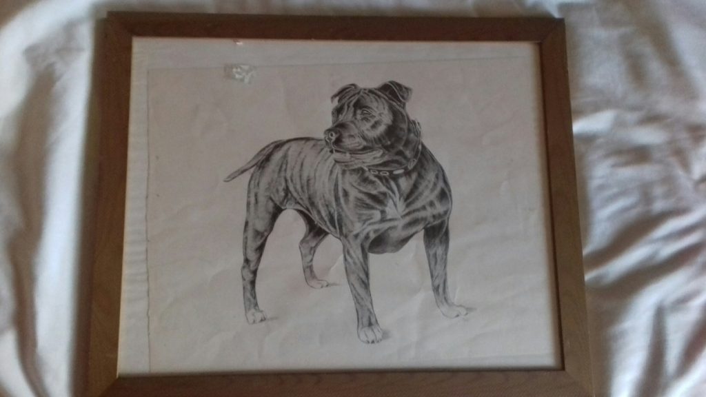 Staffordshire dog framed picture. 

Nice brown ridged frame

55cm x 45cm

4.7Kg